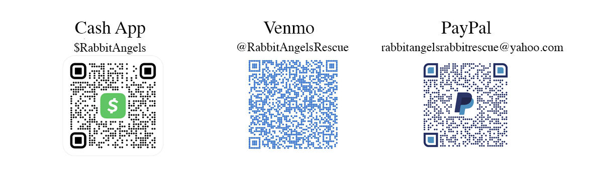 donate qr codes
